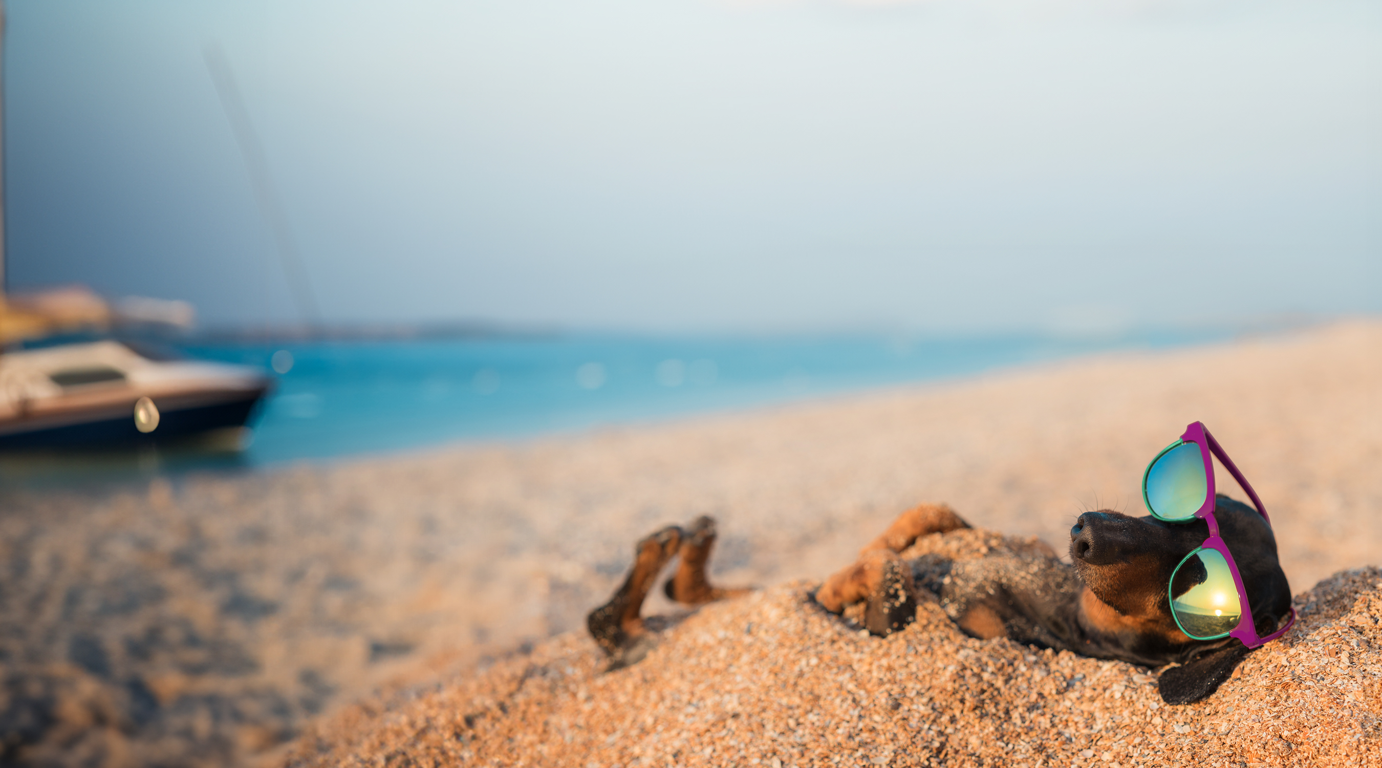 5 Years Campaign Hero